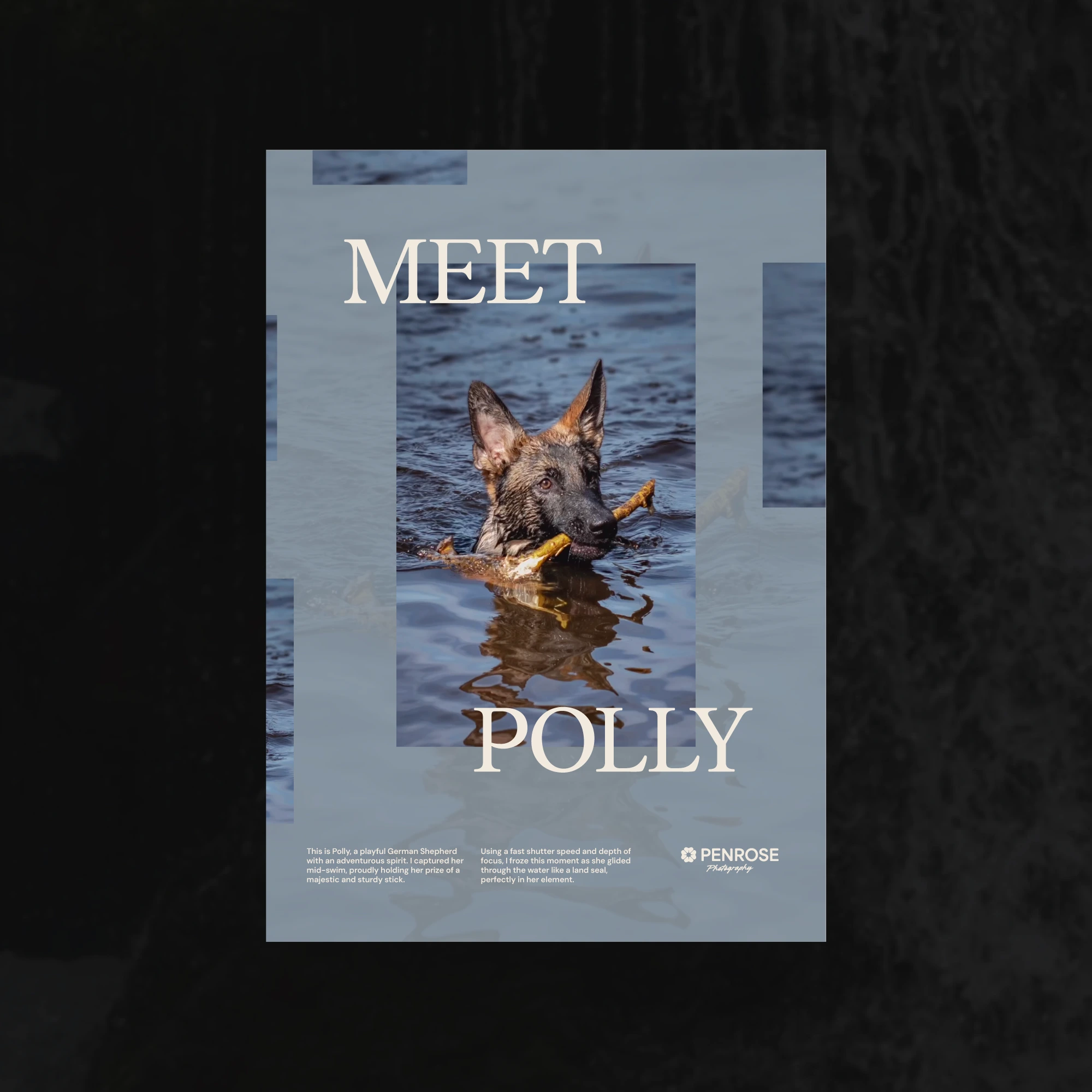 Poster and flyer print design for a photographer